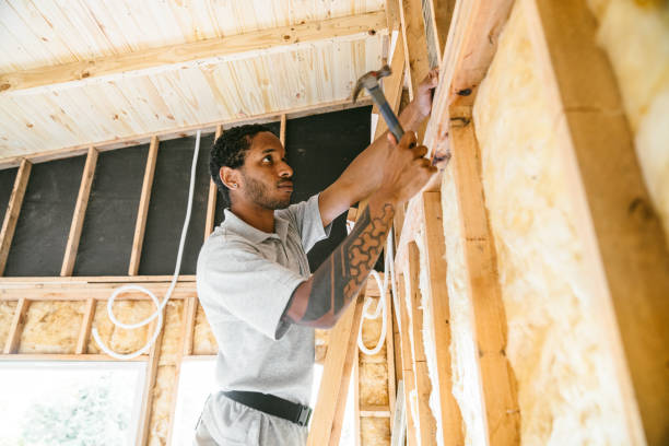 Best Insulation Replacement Services  in Lake Hopatcong, NJ